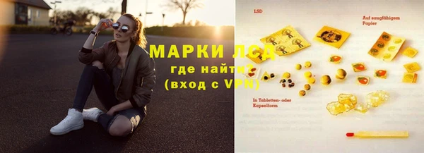 крисы Алзамай