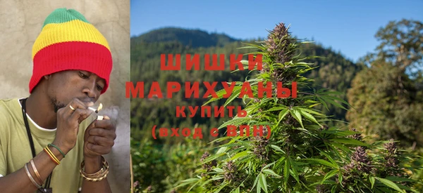 крисы Алзамай