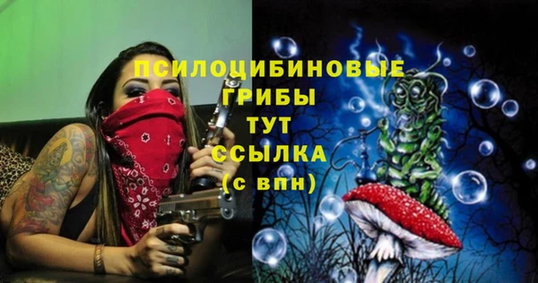 крисы Алзамай