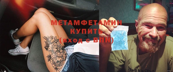 крисы Алзамай