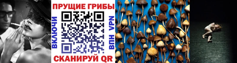 Псилоцибиновые грибы GOLDEN TEACHER  купить наркотик  Макушино 